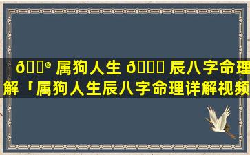 💮 属狗人生 🐈 辰八字命理详解「属狗人生辰八字命理详解视频」